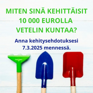 Miten sinä kehittäisit Vetelin kuntaa?