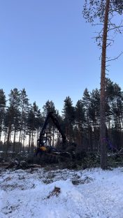 Hannesmyrskyn metsätuhojen raivaustyöt ovat käynnistyneet Tunkkarilla Vetelissä