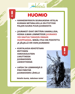 Varo Hannesmyrskyn kaatamien puiden juurakoita!