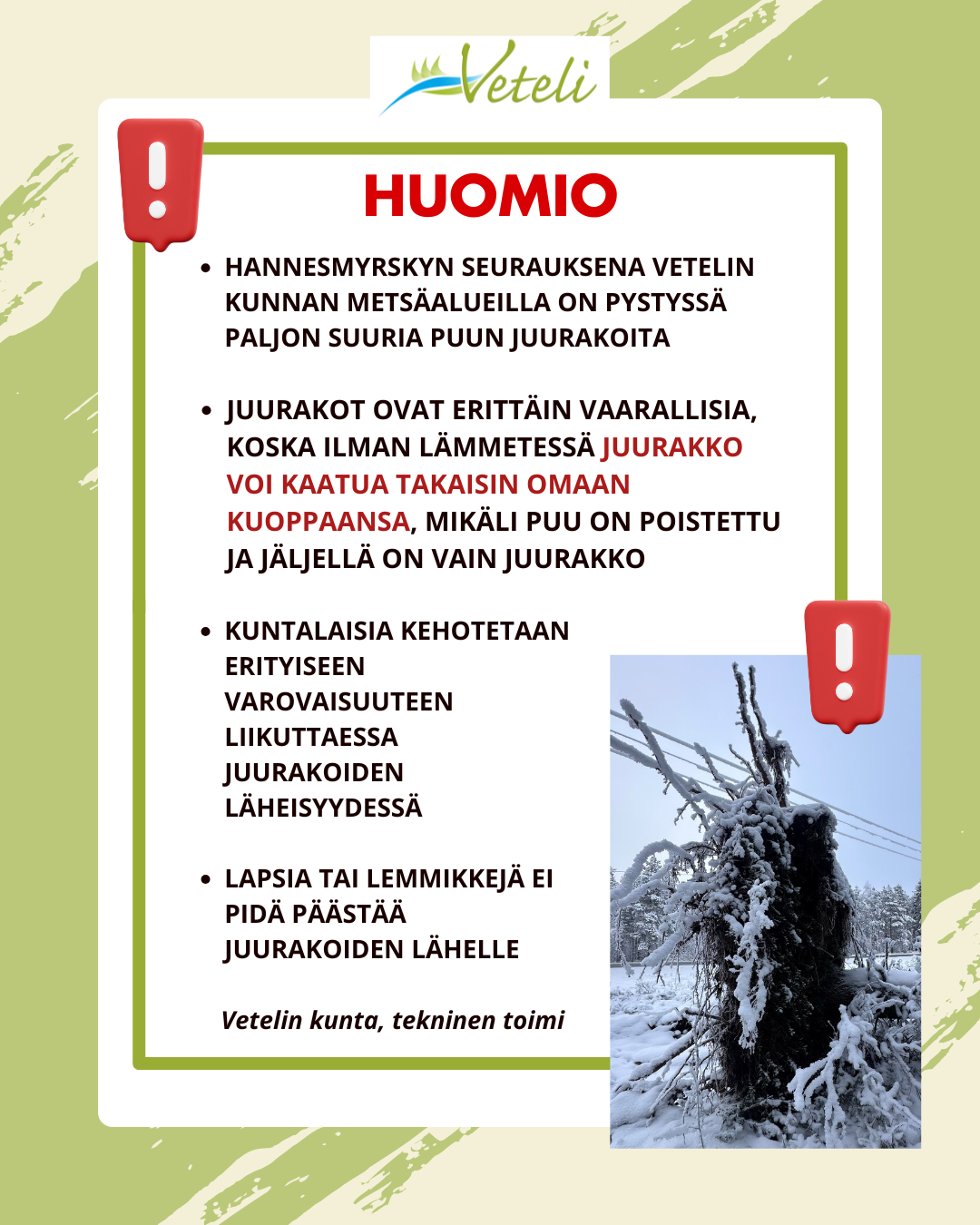 Varo Hannesmyrskyn kaatamien puiden juurakoita!