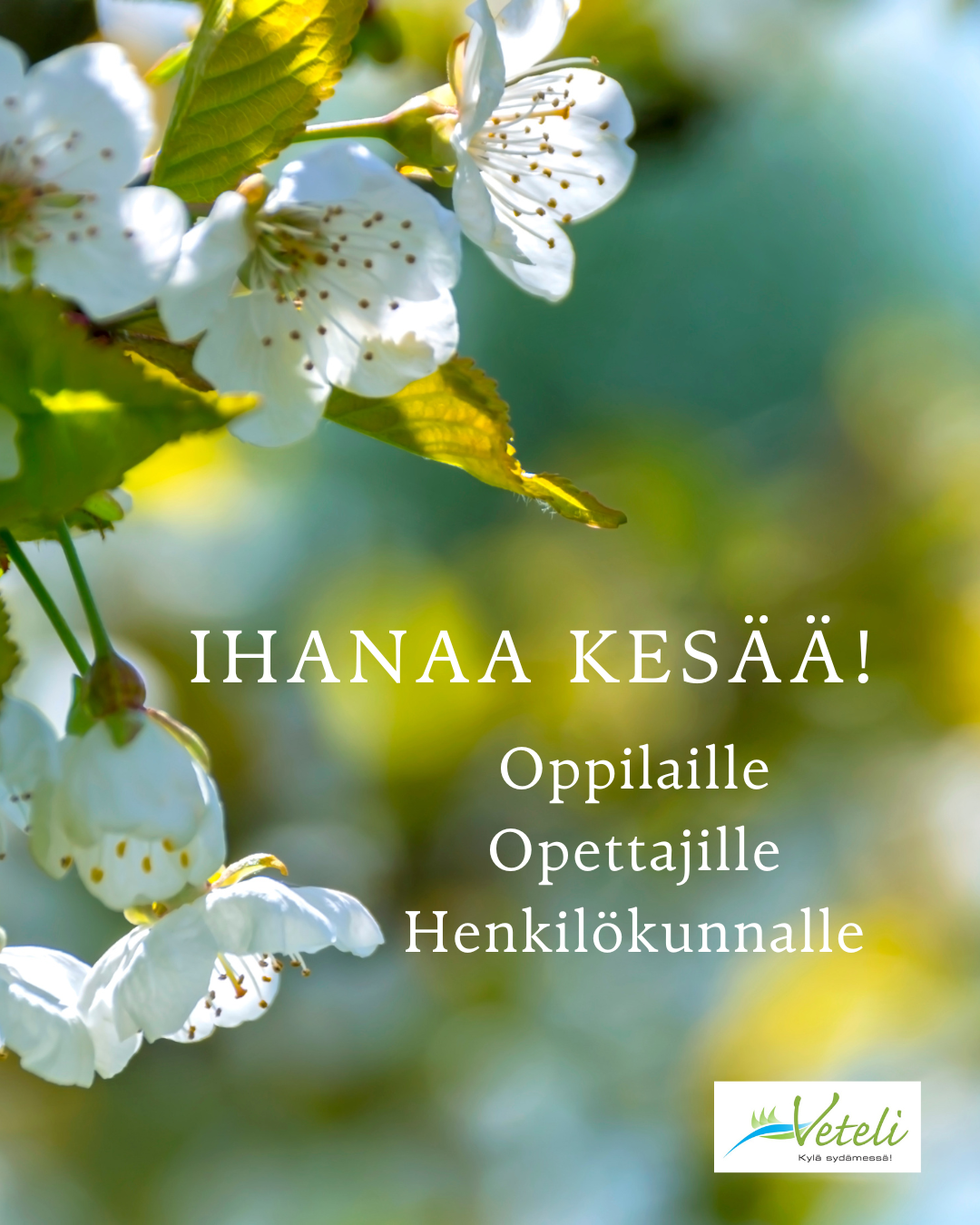 Onnea valmistuneille!